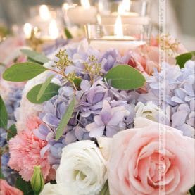 Fiolet i róż – romantyczne odcienie kwiatów